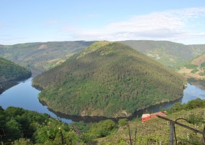 View of River Miño