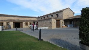 Mustigillo October 2019