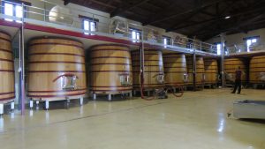 Mustigillo October 2019