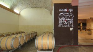 Mustigillo October 2019