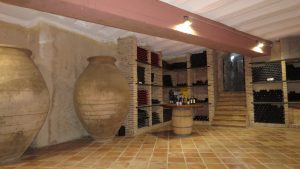 Mustigillo October 2019