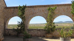 Mustigillo October 2019