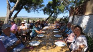 Bodega vera de Estenas October 2019