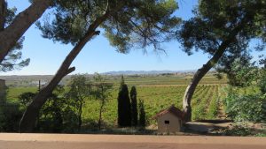 Bodega vera de Estenas October 2019